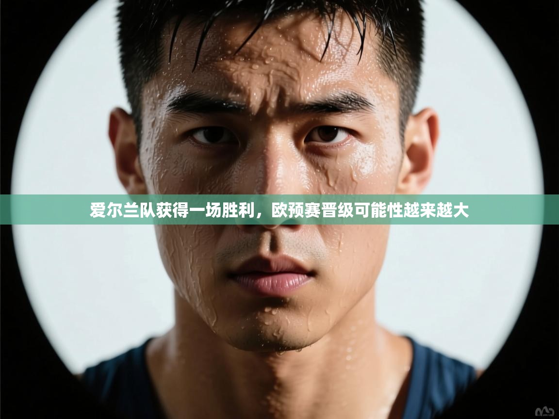 爱尔兰队获得一场胜利，欧预赛晋级可能性越来越大  第1张