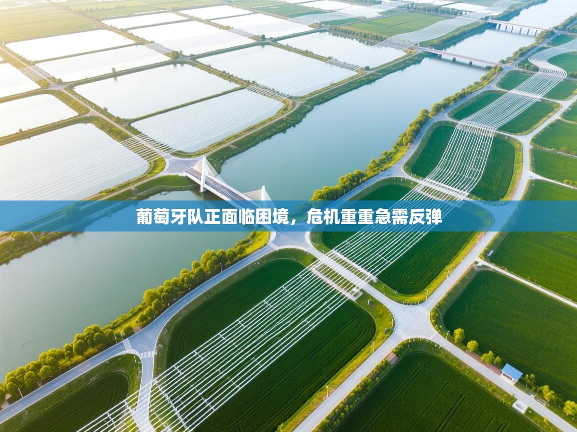 葡萄牙队正面临困境，危机重重急需反弹  第2张