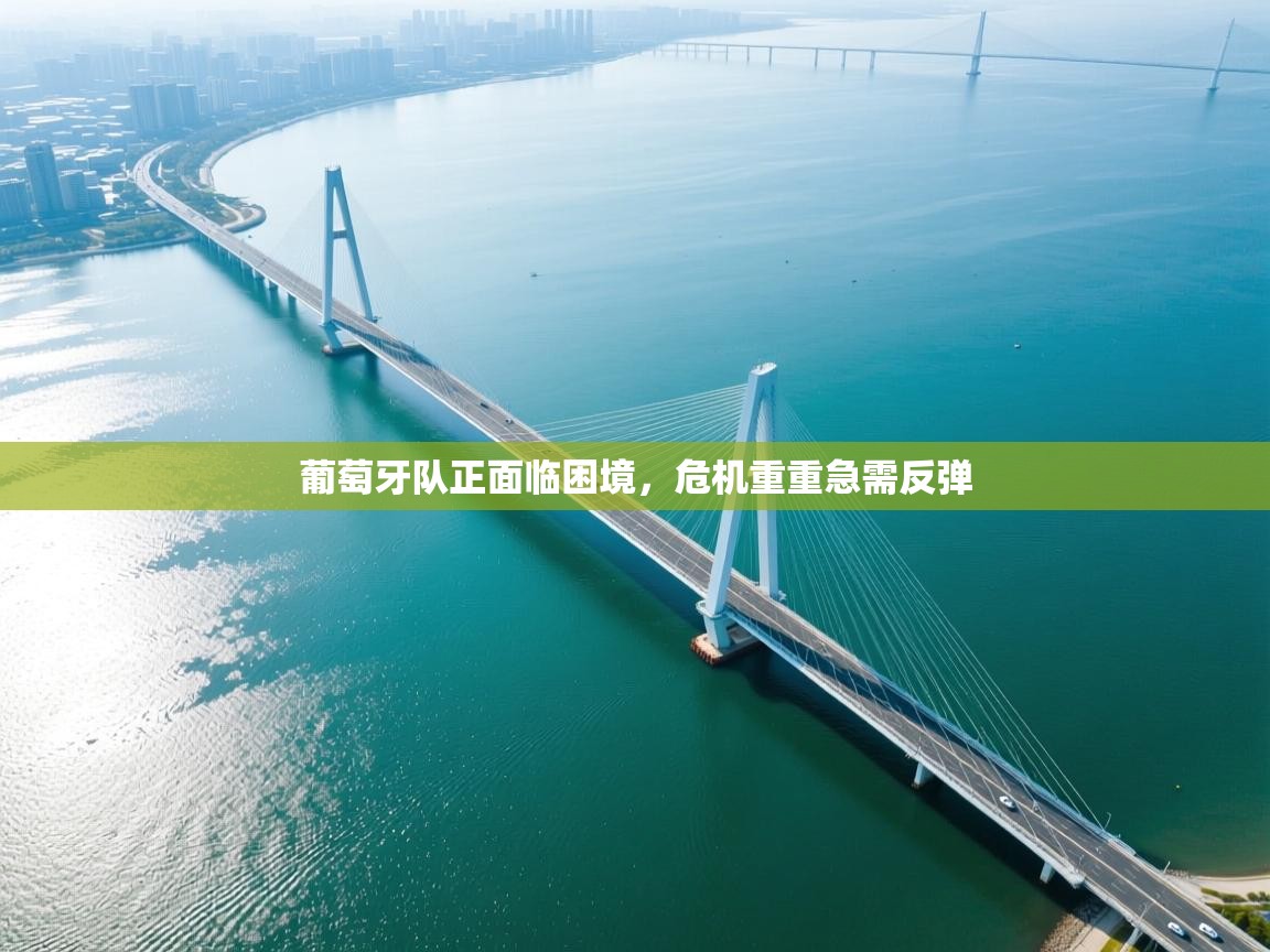 葡萄牙队正面临困境，危机重重急需反弹  第1张