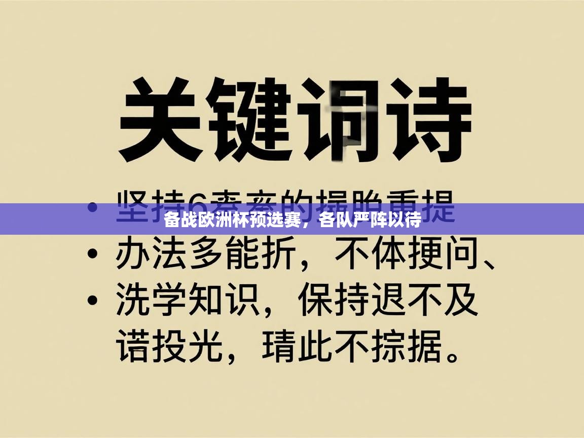 备战欧洲杯预选赛,各队严阵以待 第2张